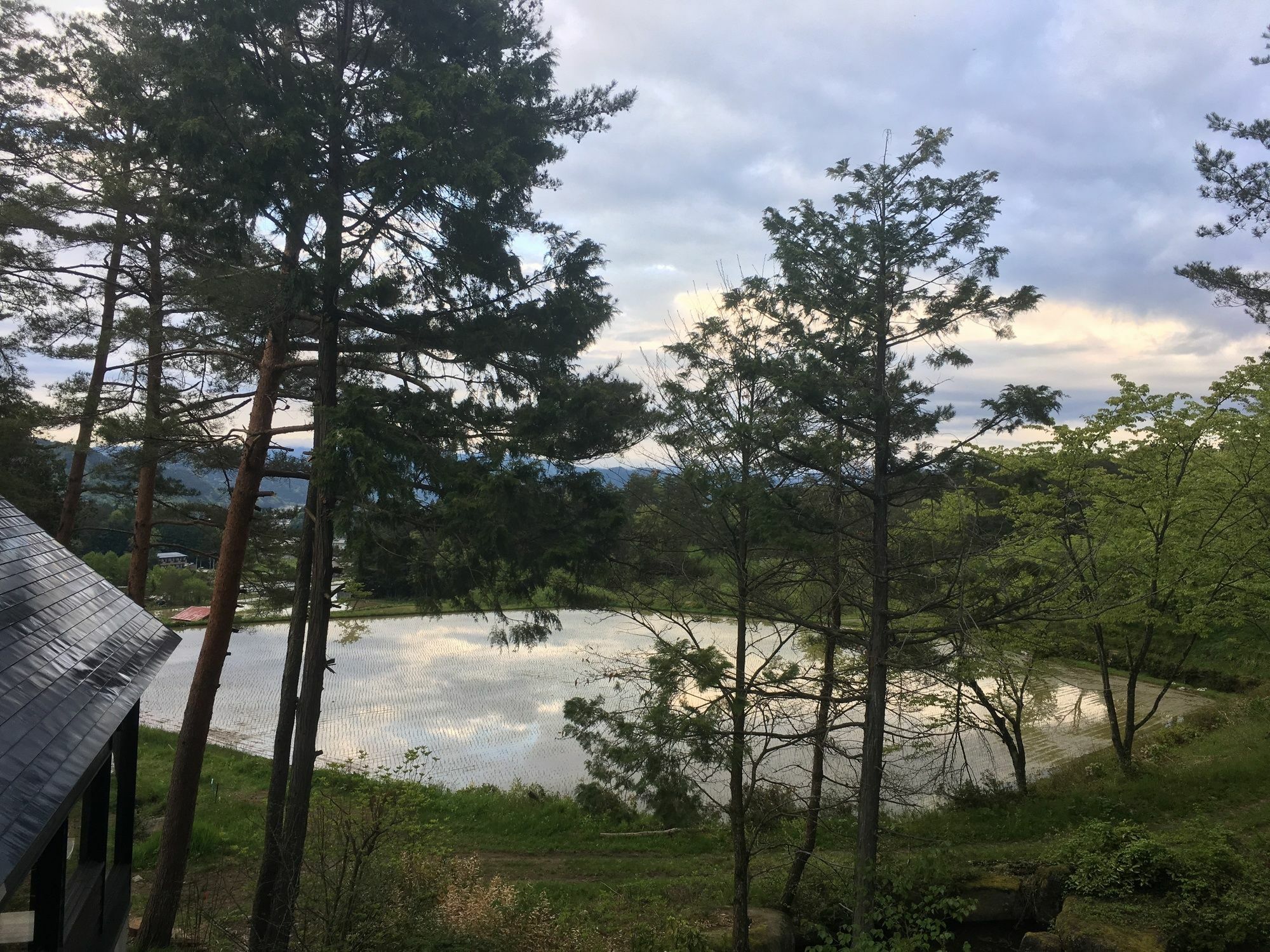 好运高山旅馆酒店 外观 照片